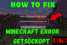 getsockopt minecraft error