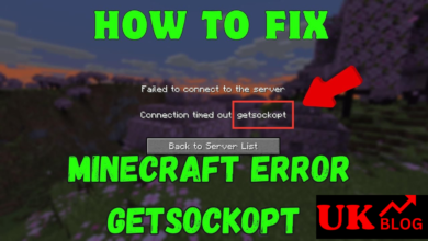 getsockopt minecraft error