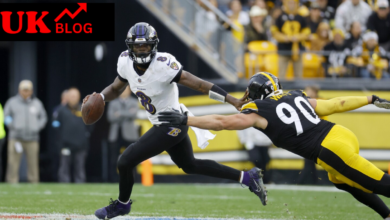 baltimore ravens vs steelers match player stats